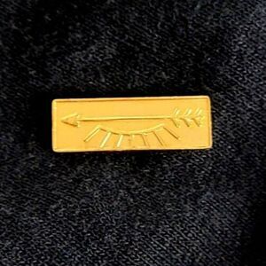 Vintage 60s Arrow of Light Boy Scouts of America lapel Pin